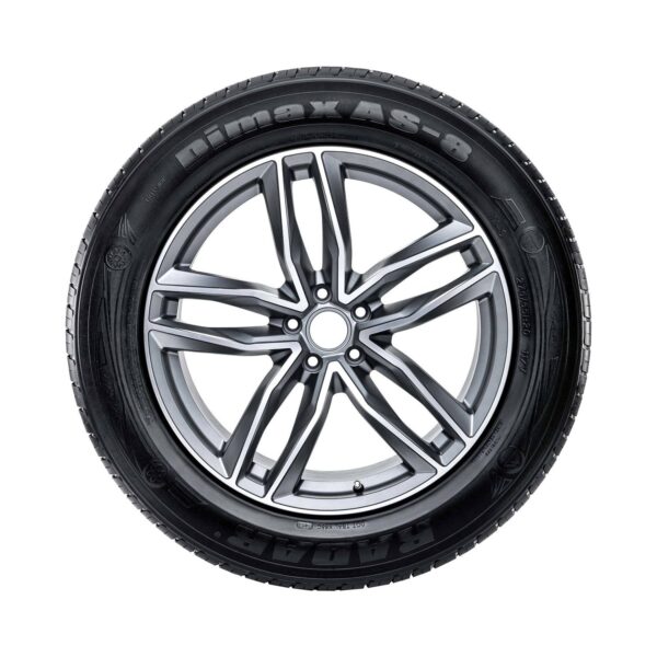 Radar Dimax AS-8 215/55R17 94V All-Season Performance Passenger Tire - Image 2