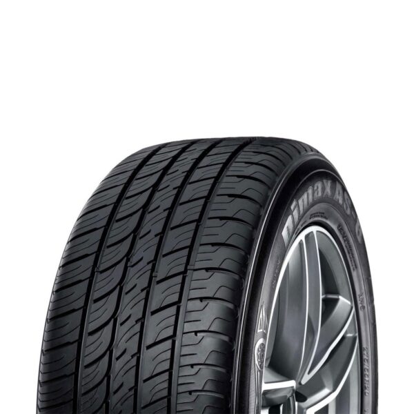 Radar Dimax AS-8 215/55R17 94V All-Season Performance Passenger Tire - Image 3